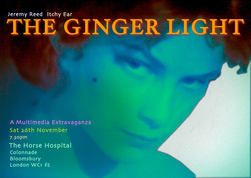 ginger light flyer f