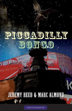 picadilly bongo cover